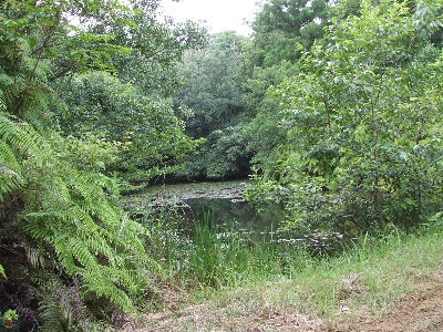 e0055880_17405590.jpg