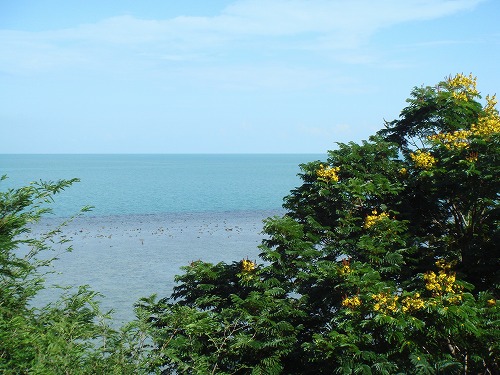 c0096685_2365112.jpg