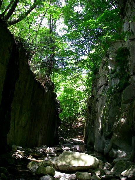 c0136486_10221567.jpg