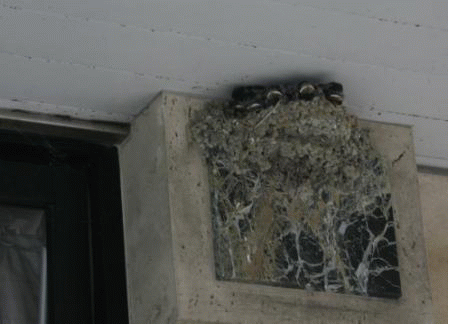 c0034595_12394043.gif