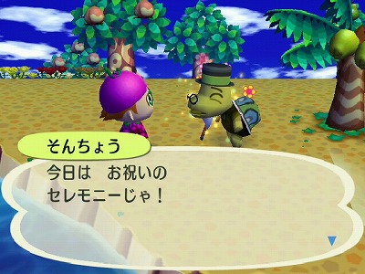 街へいこうよ どうぶつの森 プレイ日記116日目 やっぱアッチにしときゃよかった日々 ﾟ つd ﾟ