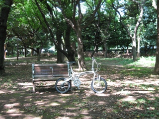 梅雨明けに自転車と海_e0145301_0353042.jpg