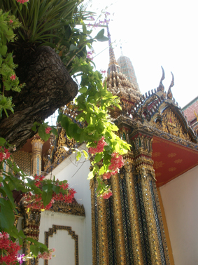 ラングーンクリーパー―エメラルド寺院―_c0129404_22274686.jpg