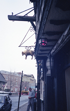 e0175405_65825.jpg