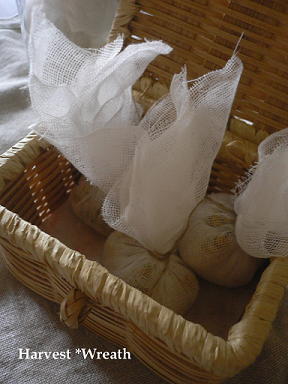c0101913_1561750.jpg