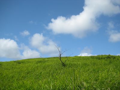 c0017220_04018.jpg