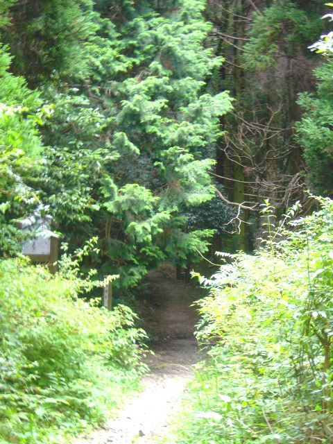 山山山!_c0144020_0195030.jpg