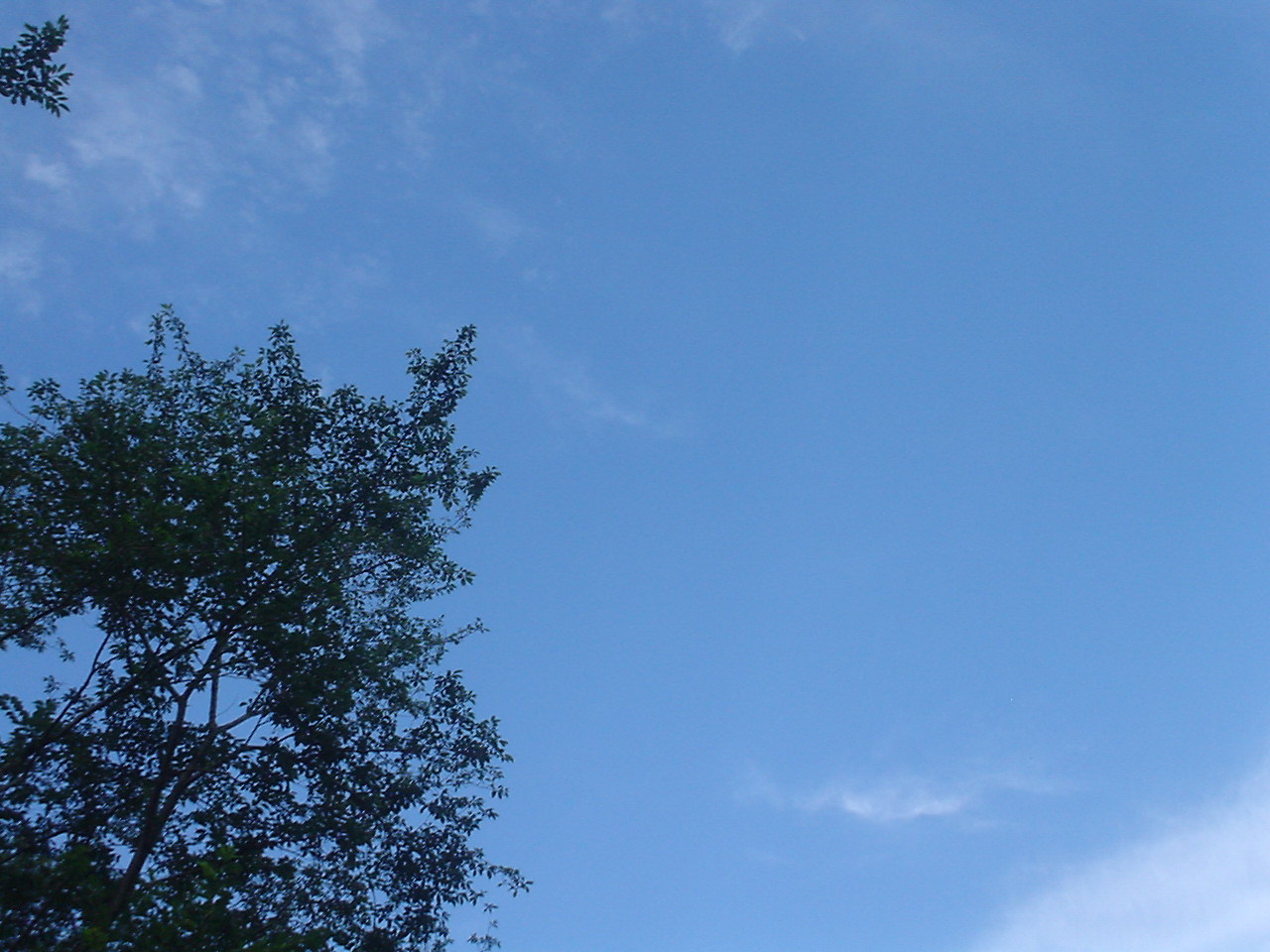c0150520_8584484.jpg