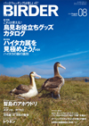 BIRDER8月号は「お役立ちグッズ」と「ハイタカ属」！_f0191924_10353760.jpg