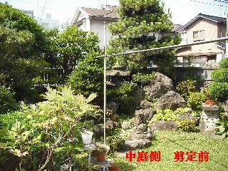 剪定中にスズメバチ駆除_f0031037_19264061.jpg