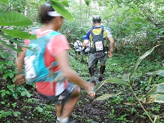 トレイルレース 1/2 _a0023246_15583480.jpg