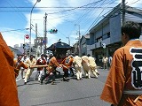 三嶋大社　八坂大神御輿渡御祭   _c0087349_5143058.jpg