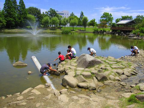 f0119567_07826.jpg