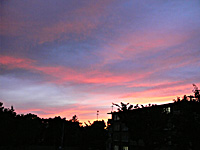 a0050669_2011361.jpg