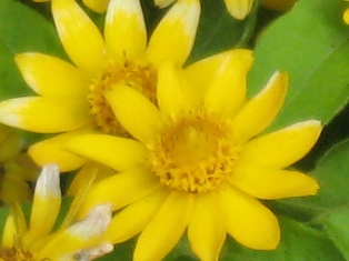 f0088569_20242426.jpg