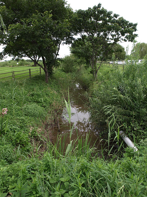 b0006870_075557.jpg