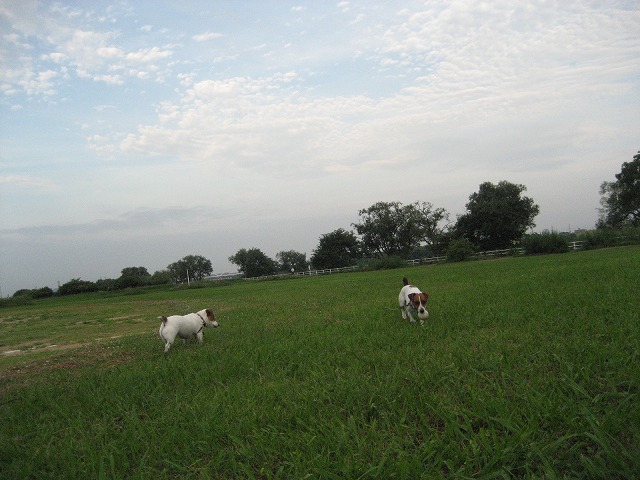 e0106372_90374.jpg