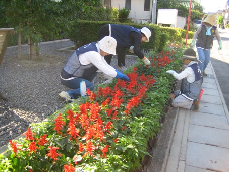 井畑花の道サークル_b0105374_22332990.jpg