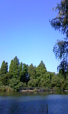 c0104774_758596.jpg