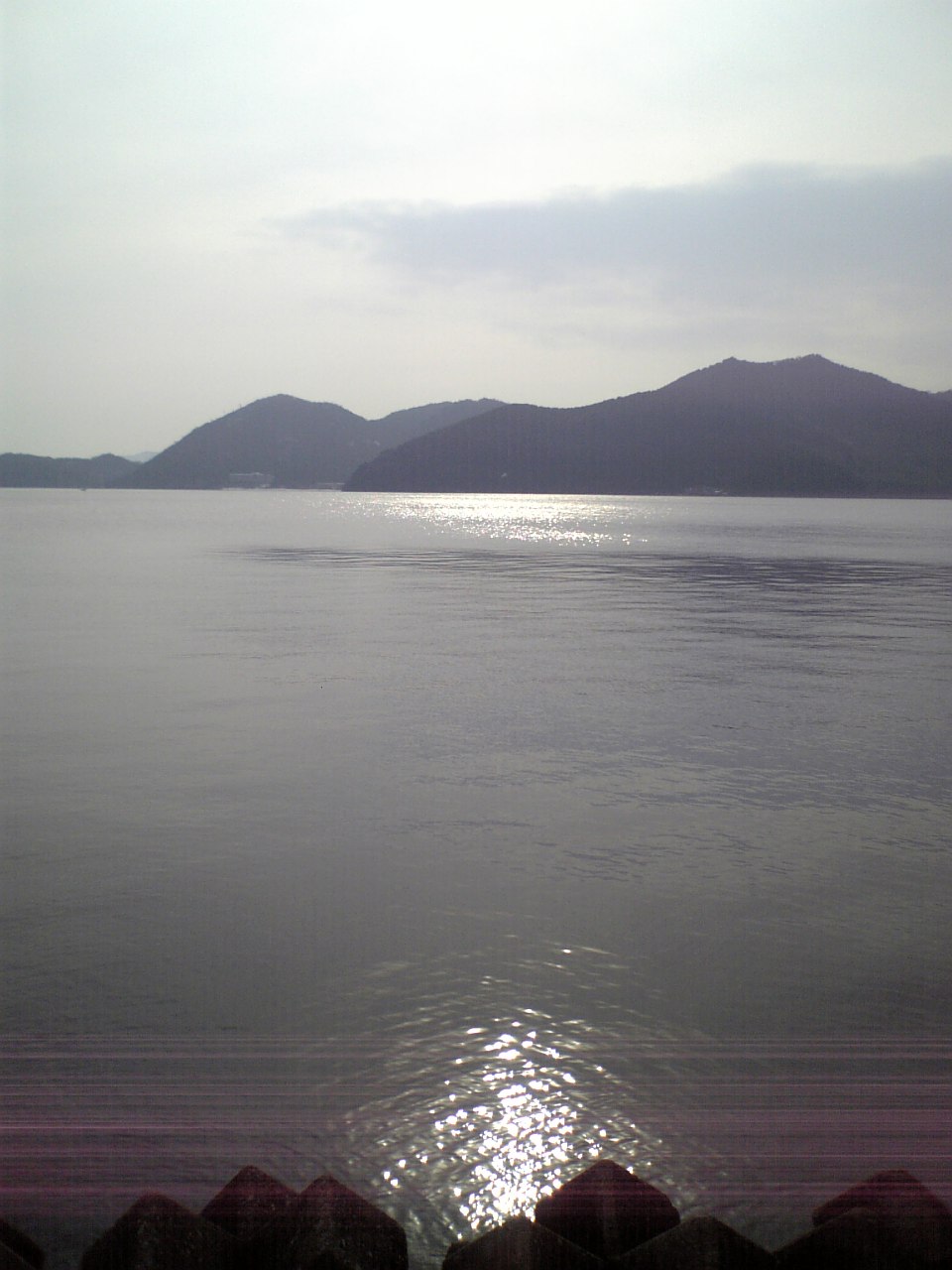 e0146075_6554078.jpg
