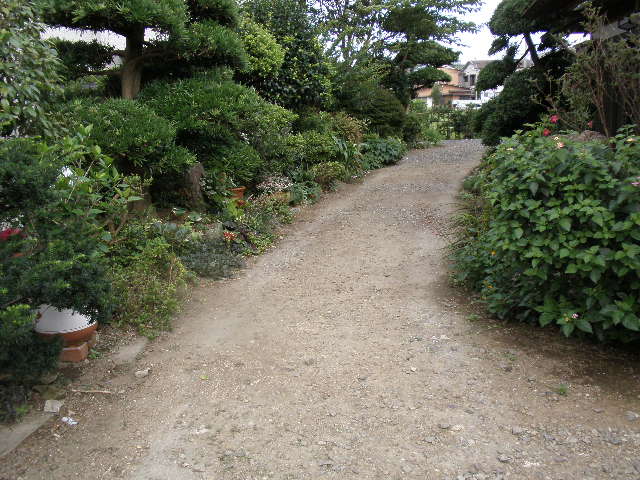 b0157276_16574852.jpg