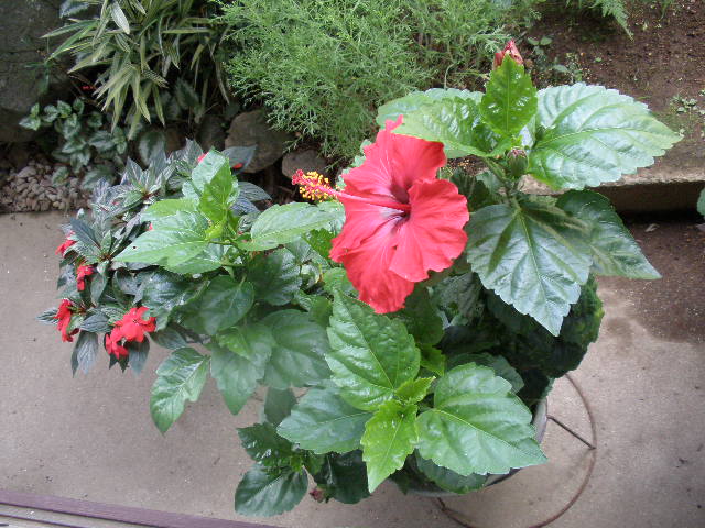 b0157276_1723292.jpg