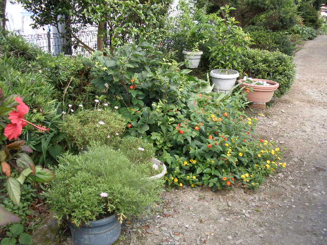 b0157276_1785298.jpg