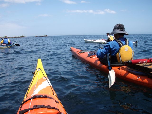 d0079579_68395.jpg