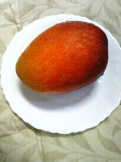 a0095980_15241051.jpg