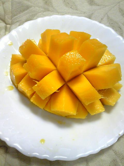 a0095980_15271435.jpg
