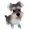 e0066883_23292315.gif