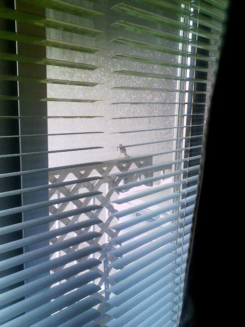 f0016783_0112728.jpg