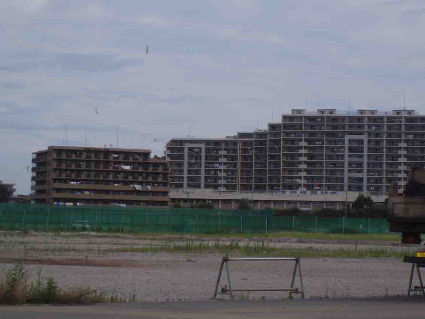 e0178884_4272198.jpg