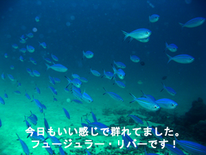 船酔い王子と行くラチャヤイ島_f0144385_18215733.jpg