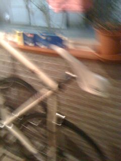 自転車のまち”新潟”の会設立しました。_f0153098_1185967.jpg