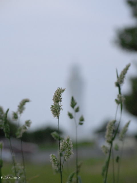 c0090703_21585995.jpg