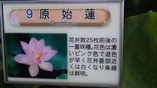 f0144003_1216285.jpg