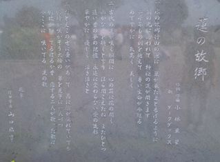 f0144003_1218373.jpg