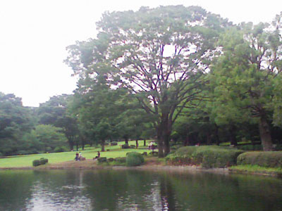 ゴーギャン展 国立近代美術館_b0129807_23383417.jpg