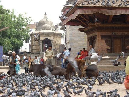 From Nepal 日記 <ダルバール広場 in タメル>_f0042307_144532.jpg