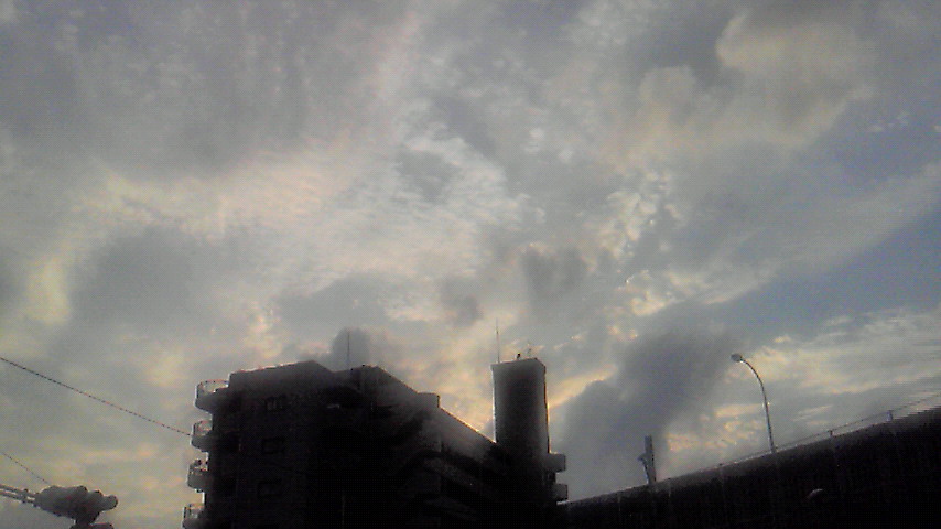 f0054610_105036.jpg