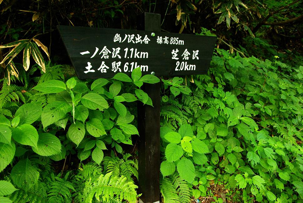 b0062024_1149163.jpg