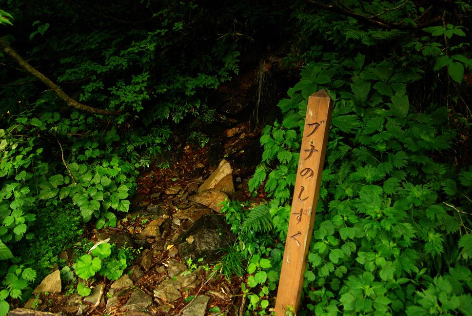 b0062024_11515064.jpg