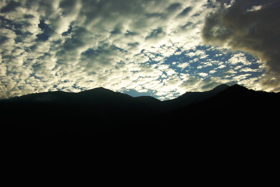 b0062024_11541039.jpg