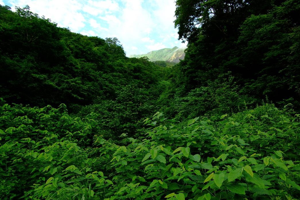 b0062024_11553545.jpg