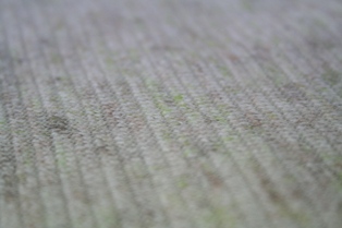 b0137326_1414295.jpg