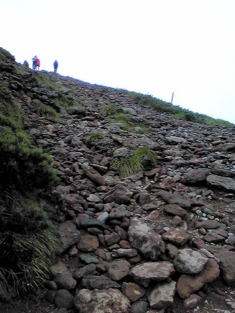 e0149733_18301736.jpg