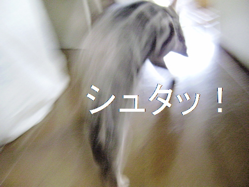 f0175434_1841337.jpg