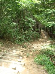 b0110035_21592670.jpg