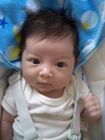 里帰り_b0167736_15284726.jpg